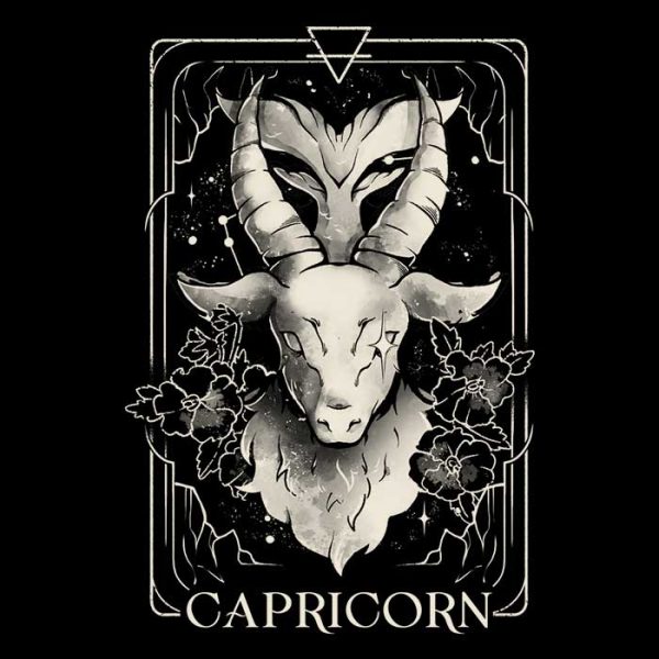 Capricorn (Edu.Ely) - Fleece Blanket Supply - Image 2